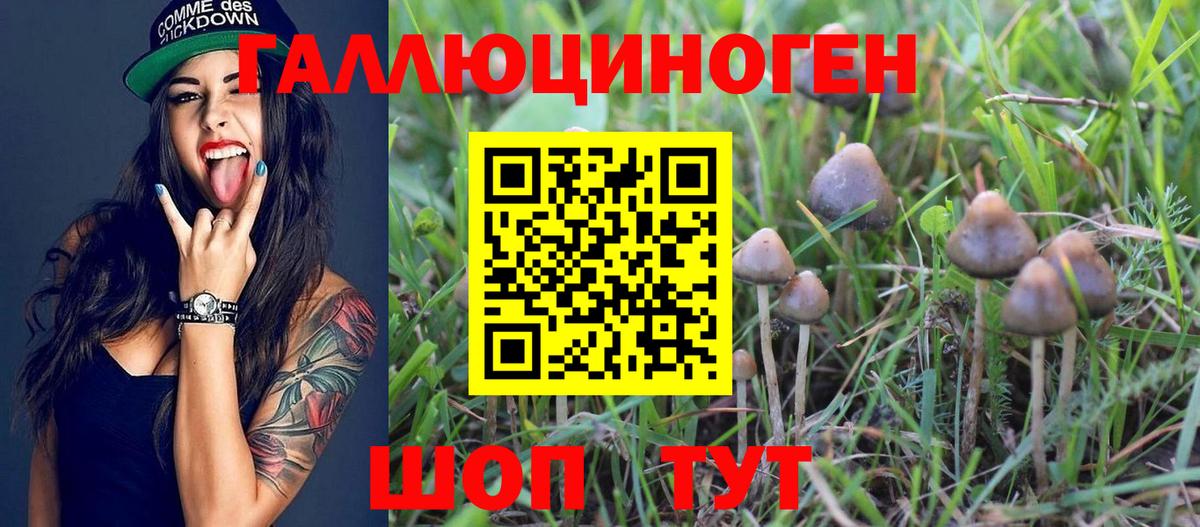 Псилоцибиновые грибы Magic Shrooms  Галлюциногенные грибы MAGIC MUSHROOMS  Муравленко  Вход с VPN 