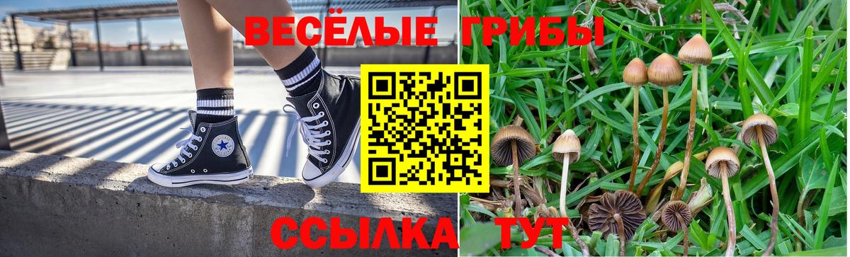 Псилоцибиновые грибы Psilocybine cubensis Муравленко
